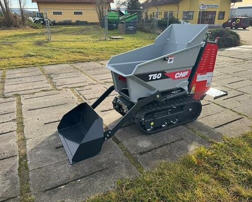 CNF T50d