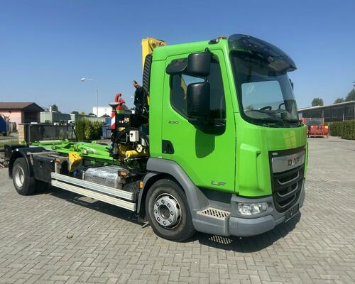 DAF LF 230 FA nosič kontejnerů + RH