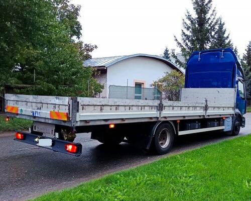 Renault D250