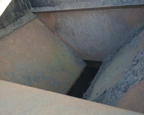 _JINÉ (USA) Wyllie - 50R