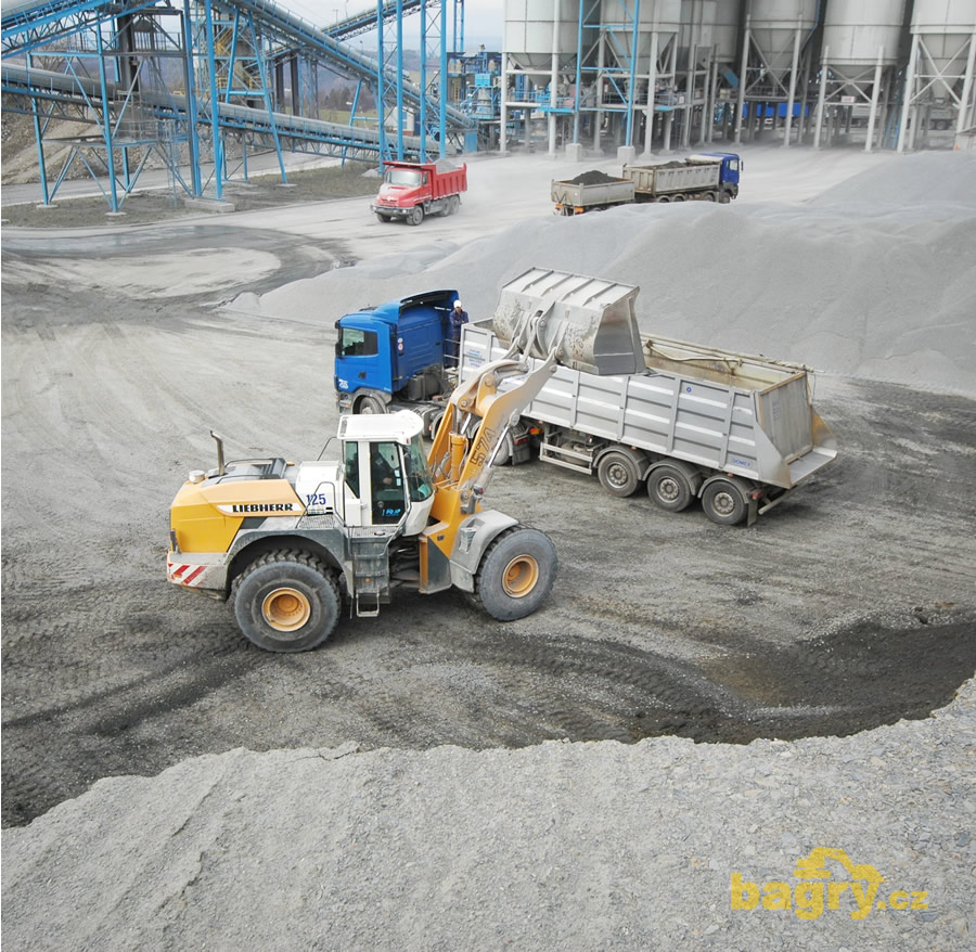 Liebherr L 574 nakládá Scanii