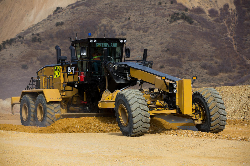 Caterpillar 24