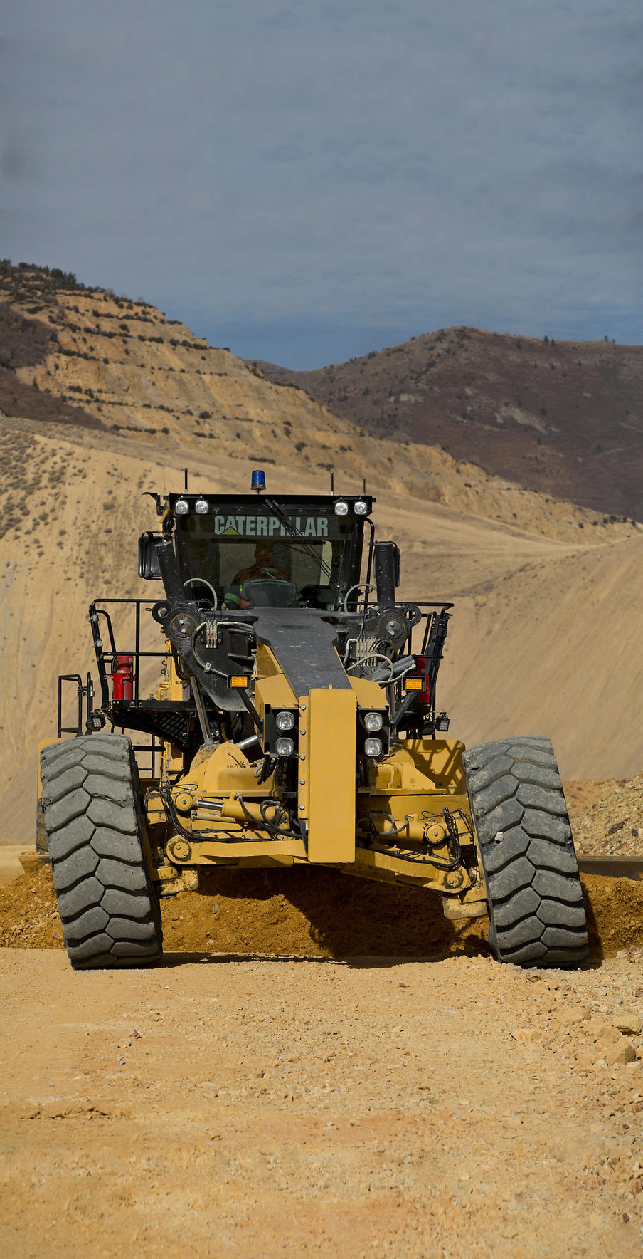 Caterpillar 24