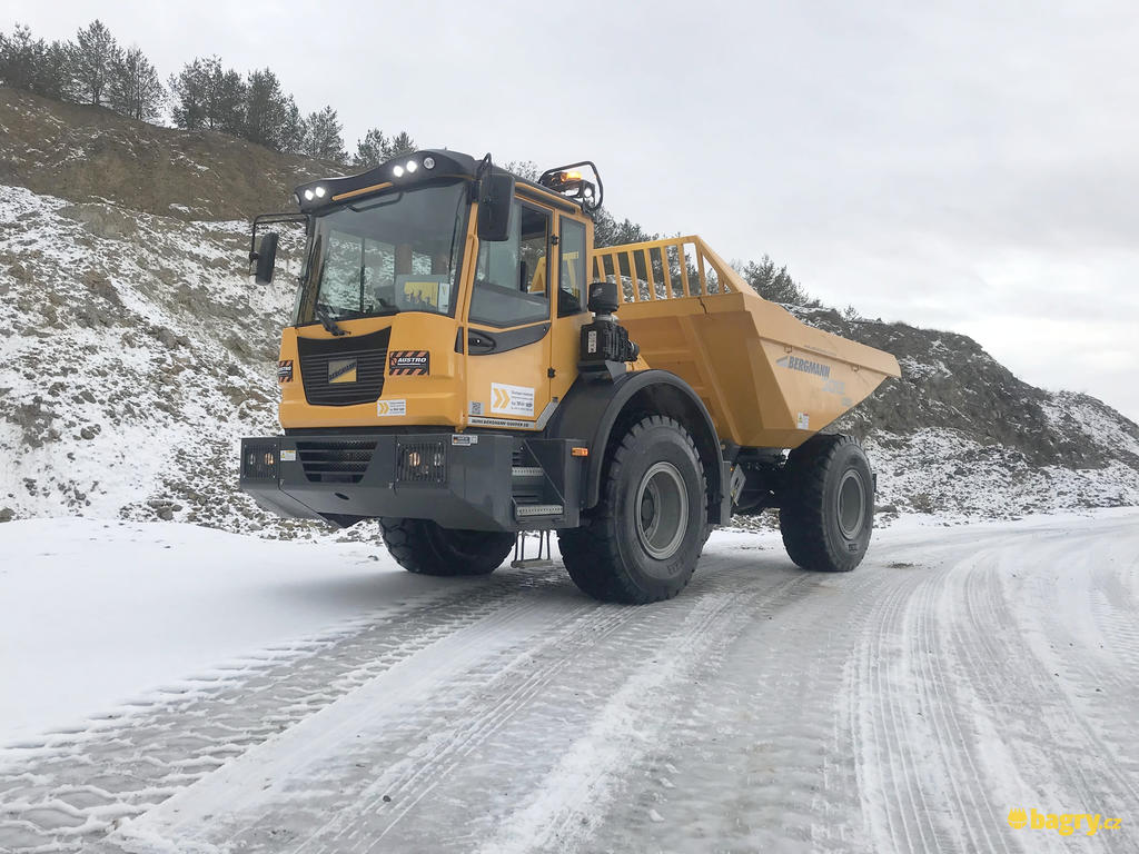 01. Dumper Bergmann 3012R