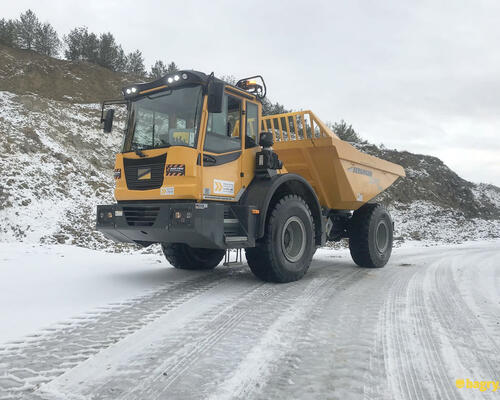 01. Dumper Bergmann 3012R