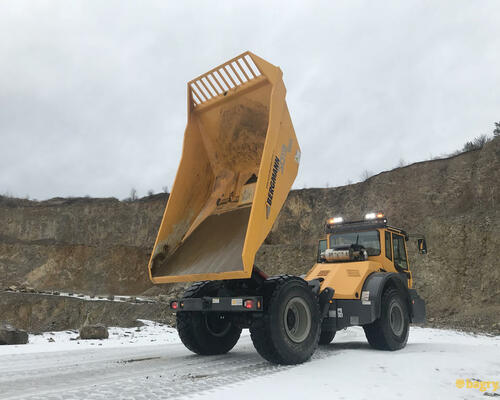 04. Dumper Bergmann 3012R s vyklopenou korbou