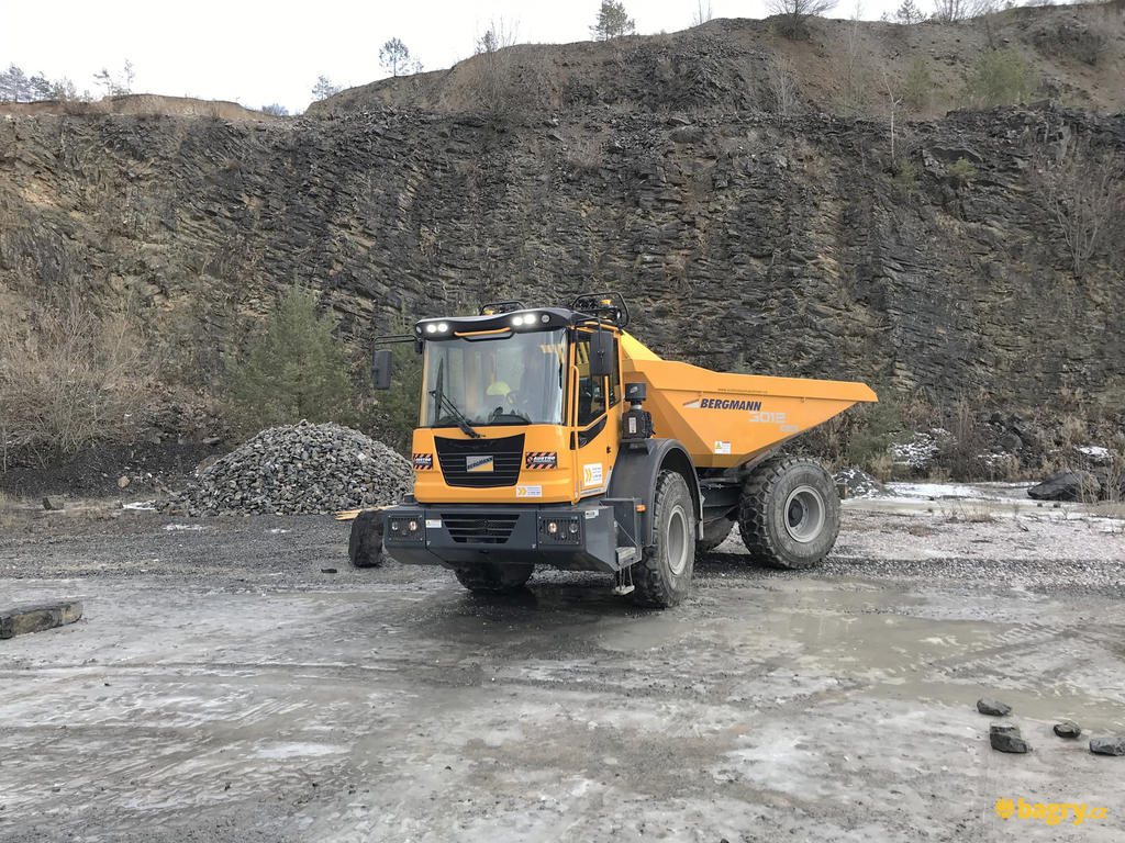 36. Bergmann 3012R v akci