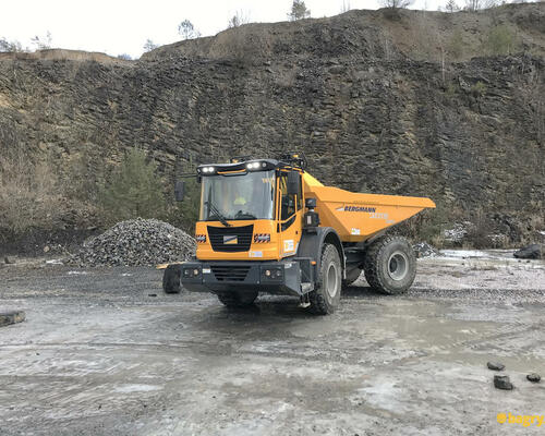 36. Bergmann 3012R v akci