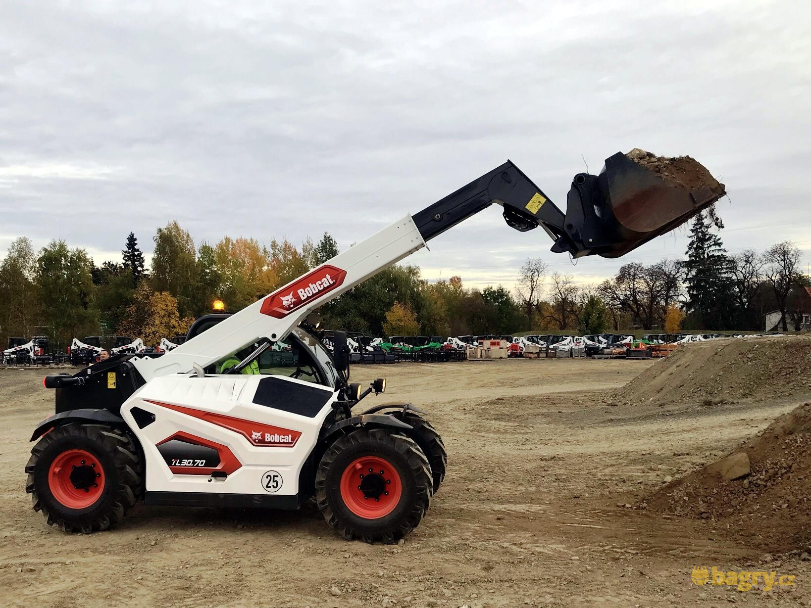 02. Bobcat TL30.70