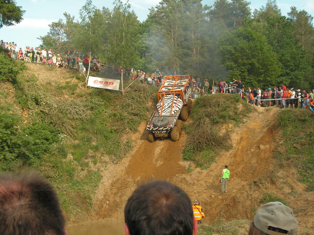 Re: TATRA 813