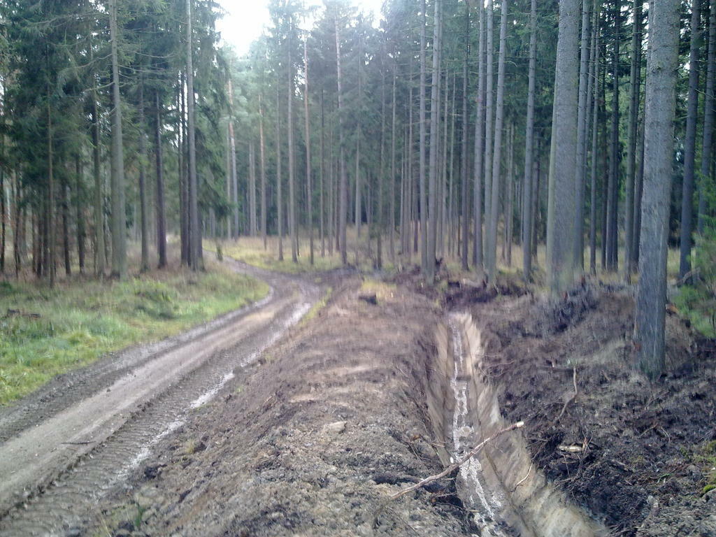 Re: Fotky našich mazlíků