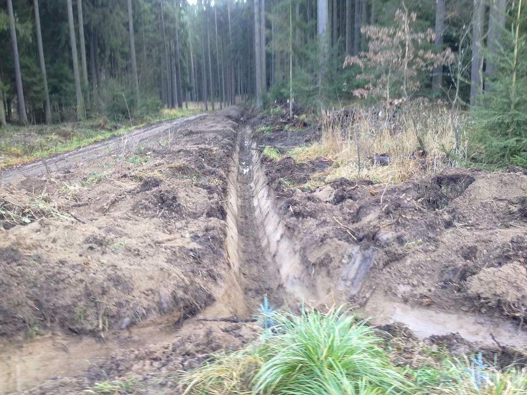 Re: Fotky našich mazlíků