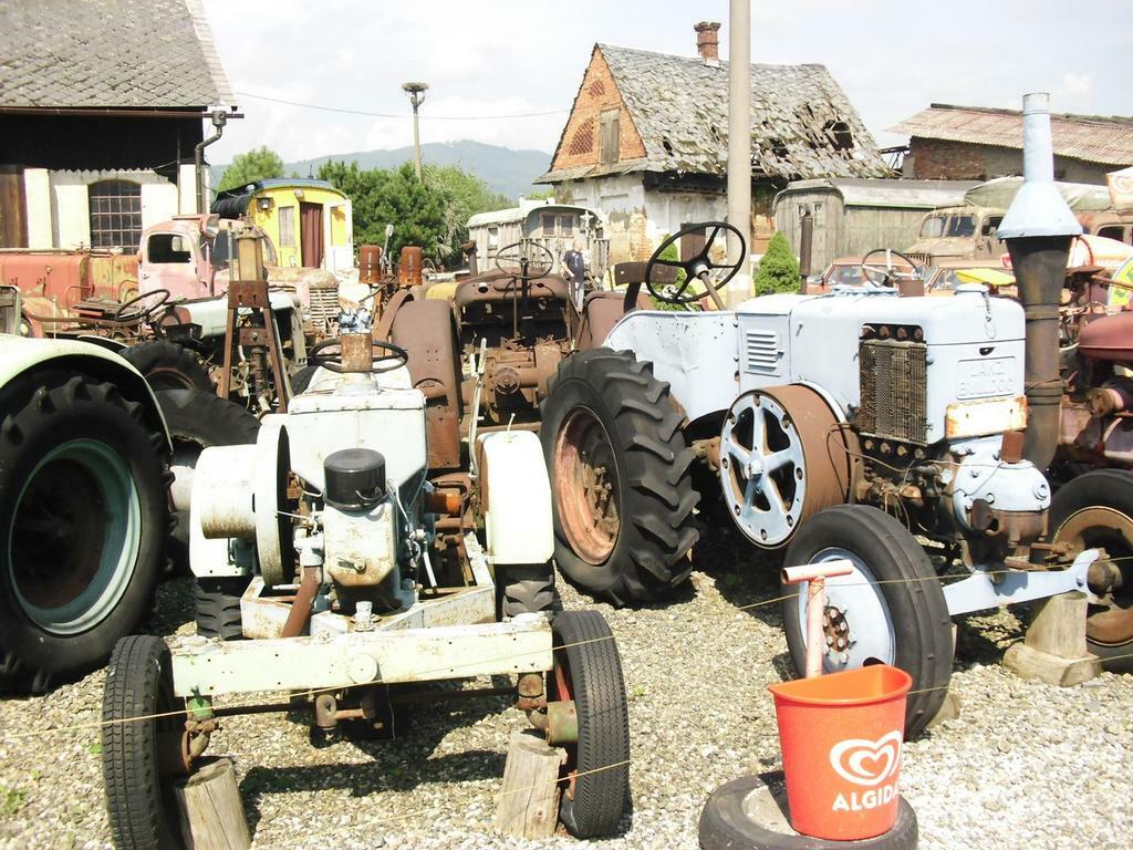 Re: Fotky starobylých mazlíků