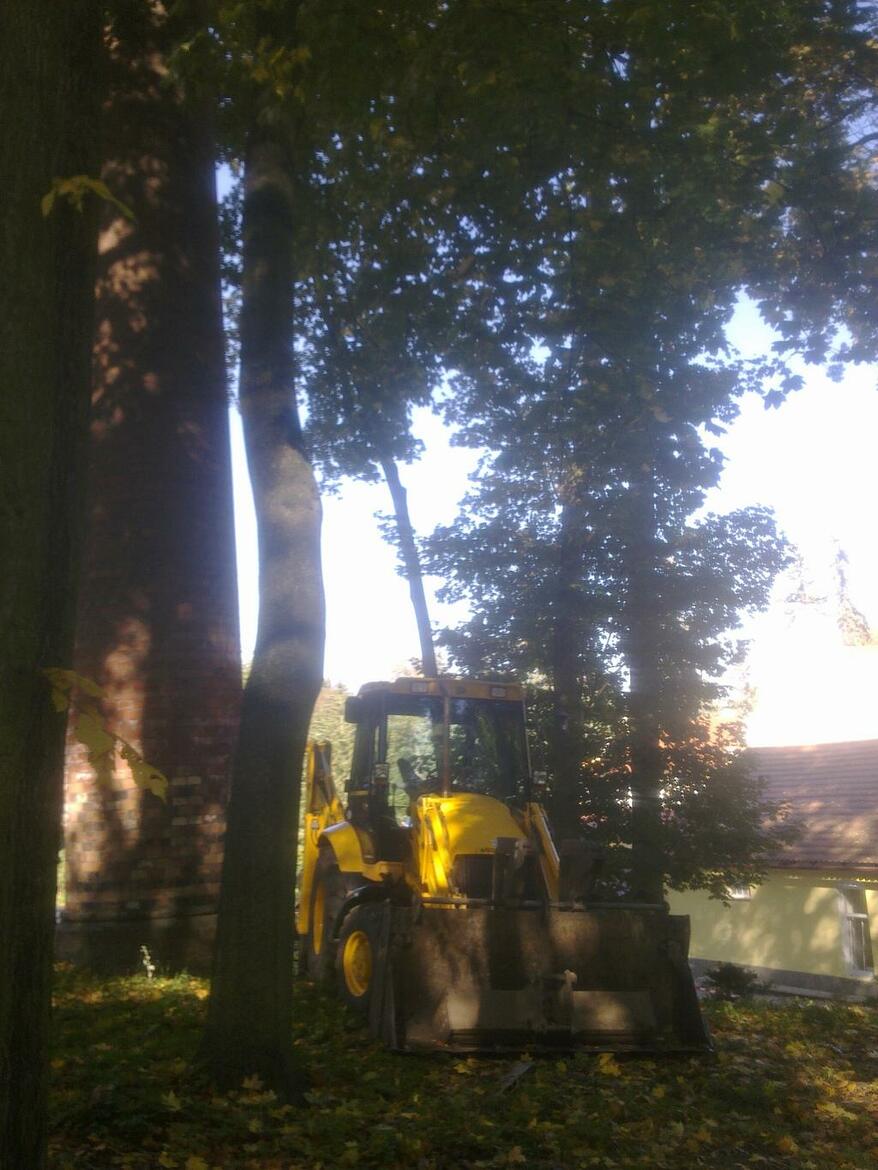 Re: jcb 3cx