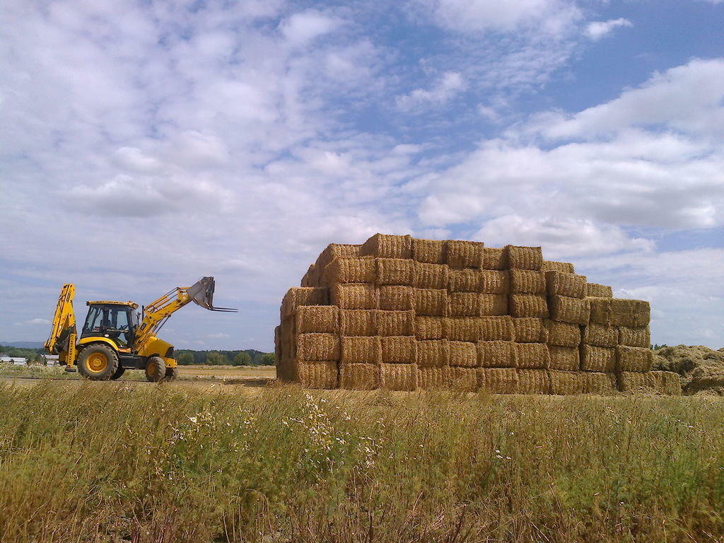 Re: jcb 3cx
