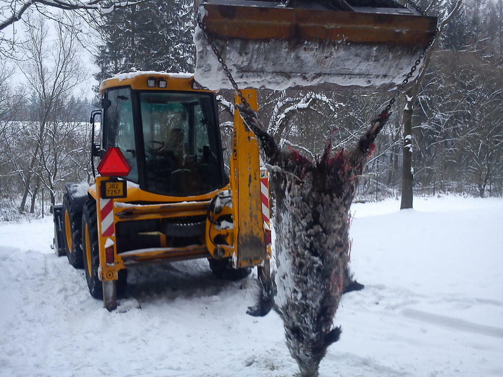 Re: jcb 4cx
