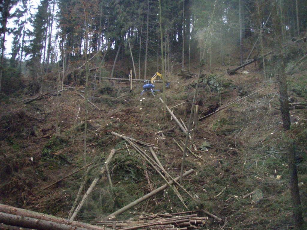 Nasazení při těžbě dřeva