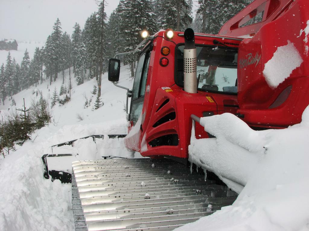 Re: Pisten bully 