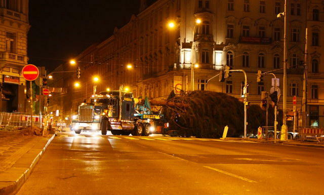 Strom 2011