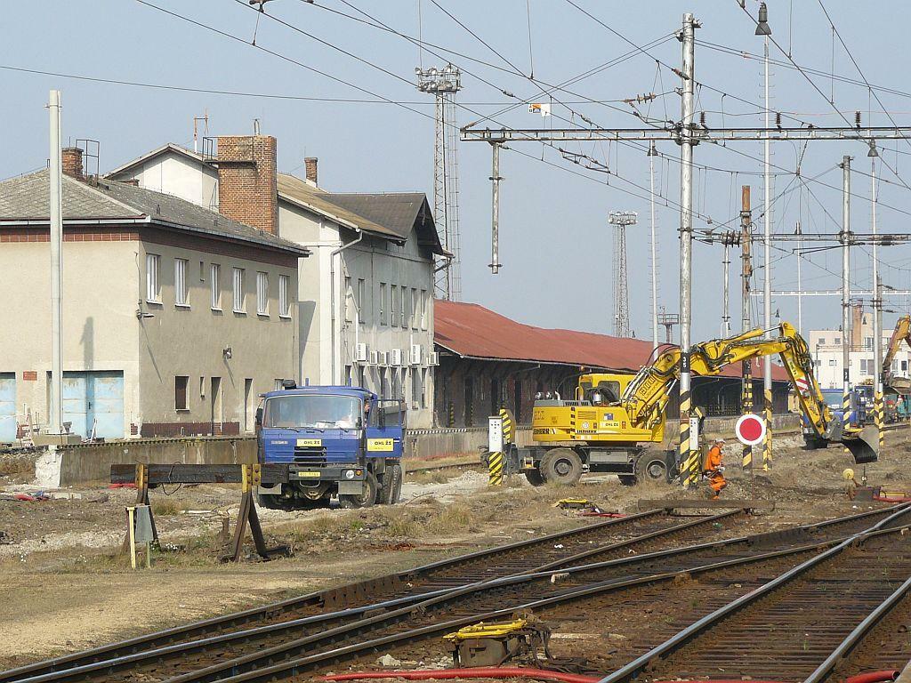 Re: Fotky našich mazlíků