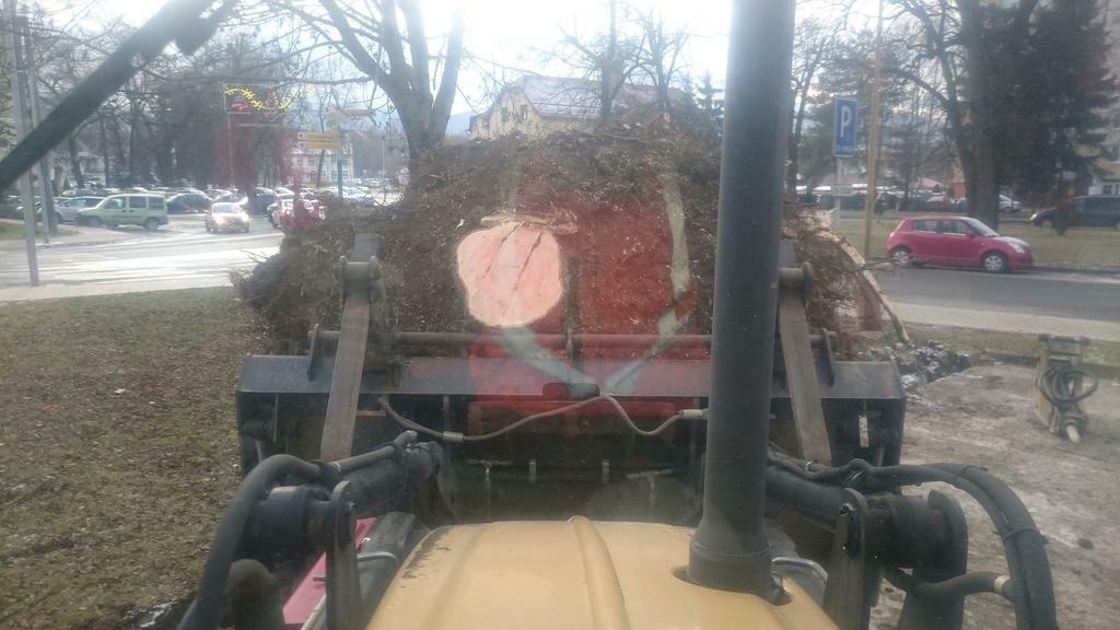 Re: Jak na pařezy