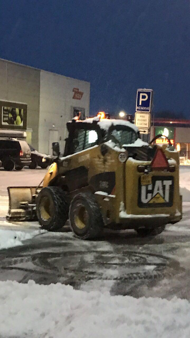 CAT 246C